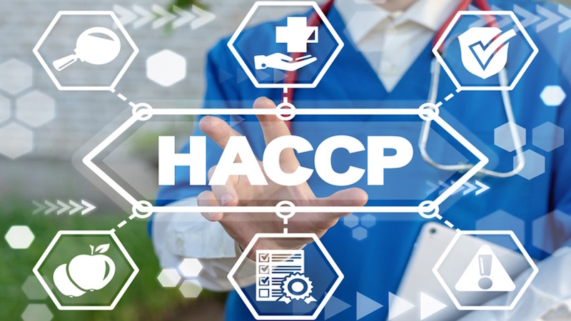 HACCP: la normativa e i corsi di formazione